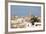 City of Casablanca, Morocco-p.lange-Framed Photographic Print