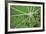 City Park View-Jason Hawkes-Framed Giclee Print