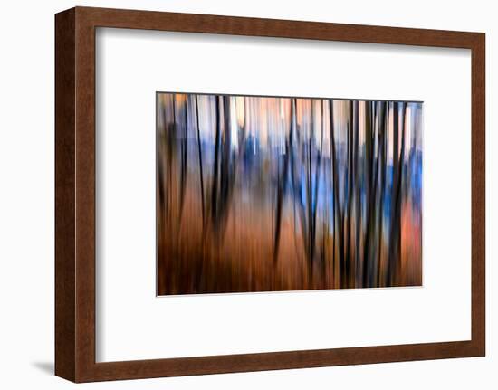 City Park-Ursula Abresch-Framed Photographic Print