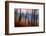 City Park-Ursula Abresch-Framed Photographic Print