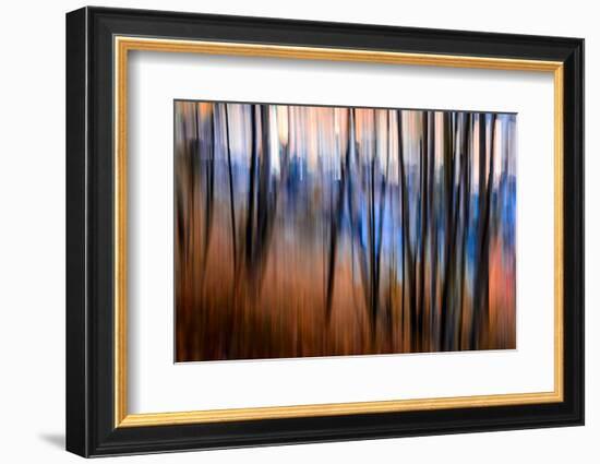 City Park-Ursula Abresch-Framed Photographic Print