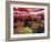 City's Market, Dolac, Zagreb, Croatia-Ken Gillham-Framed Photographic Print