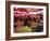 City's Market, Dolac, Zagreb, Croatia-Ken Gillham-Framed Photographic Print