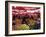 City's Market, Dolac, Zagreb, Croatia-Ken Gillham-Framed Photographic Print