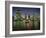 City Skyline and Brisbane River at Night, Brisbane, Queensland, Australia-Mark Mawson-Framed Photographic Print