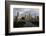 City Skyline and Interstate, Houston, Texas, United States of America, North America-Gavin-Framed Photographic Print