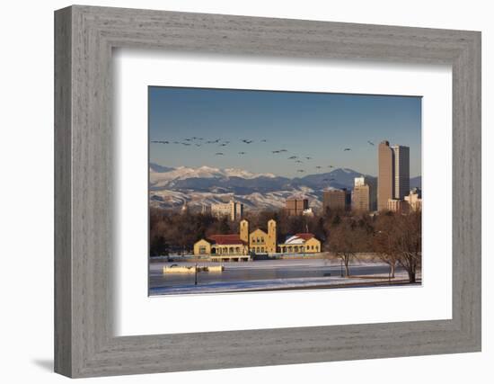 City Skyline from City Park, Denver, Colorado, USA-Walter Bibikow-Framed Photographic Print