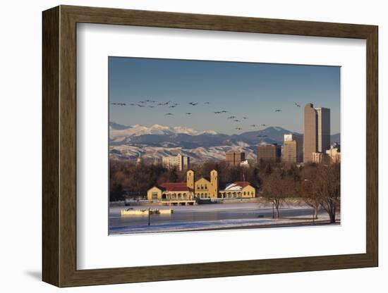 City Skyline from City Park, Denver, Colorado, USA-Walter Bibikow-Framed Photographic Print