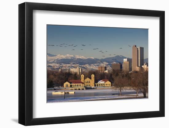 City Skyline from City Park, Denver, Colorado, USA-Walter Bibikow-Framed Photographic Print