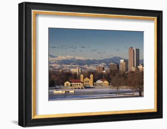 City Skyline from City Park, Denver, Colorado, USA-Walter Bibikow-Framed Photographic Print