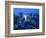 City Skyline from Sky Bar, Park Hyatt Tokyo, Tokyo, Japan-Greg Elms-Framed Photographic Print