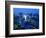 City Skyline from Sky Bar, Park Hyatt Tokyo, Tokyo, Japan-Greg Elms-Framed Photographic Print