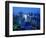 City Skyline from Sky Bar, Park Hyatt Tokyo, Tokyo, Japan-Greg Elms-Framed Photographic Print