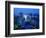 City Skyline from Sky Bar, Park Hyatt Tokyo, Tokyo, Japan-Greg Elms-Framed Photographic Print