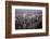 City Skyline from Victoria Peak, Hong Kong, China-Paul Souders-Framed Photographic Print