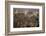 City Skyline from Victoria Peak, Hong Kong, China-Paul Souders-Framed Photographic Print