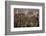 City Skyline from Victoria Peak, Hong Kong, China-Paul Souders-Framed Photographic Print