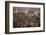 City Skyline from Victoria Peak, Hong Kong, China-Paul Souders-Framed Photographic Print