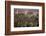 City Skyline from Victoria Peak, Hong Kong, China-Paul Souders-Framed Photographic Print