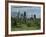 City Skyline Viewed over Park, Perth, Western Australia, Australia, Pacific-Gavin Hellier-Framed Photographic Print