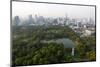 City Skyline with Lumphini Park-Lee Frost-Mounted Photographic Print