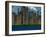 City Skyline-prawny-Framed Art Print