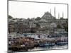 City View with the Suleymaniye Mosque in the Background, Istanbul, Turkey, Europe-Levy Yadid-Mounted Photographic Print