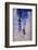 City Walk-Ursula Abresch-Framed Photographic Print