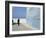 City Walls, Old Town, Asilah, Morocco, North Africa, Africa-Thouvenin Guy-Framed Photographic Print