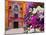 Cityscape of Malaga, Spain-Karol Kozlowski-Mounted Photographic Print