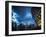 Cityscape of Singapore at night-Ferry Tan-Framed Photo