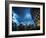 Cityscape of Singapore at night-Ferry Tan-Framed Photo