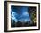 Cityscape of Singapore at night-Ferry Tan-Framed Photo