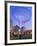 Civic Space Park, Phoenix, Arizona, United States of America, North America-Richard Cummins-Framed Photographic Print