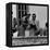 Civil Rights Leader Rev. Martin Luther King Jr. and Wife Visiting Ghanain Independence Ceremonies-Mark Kauffman-Framed Premier Image Canvas