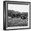 Civil War: Fort Putnam-null-Framed Photographic Print