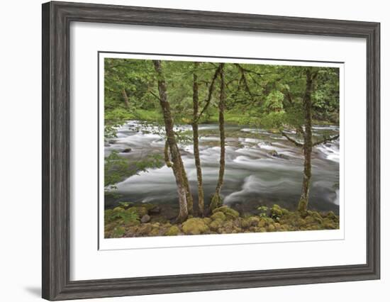 Clackamas River I-Donald Paulson-Framed Giclee Print