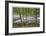 Clackamas River I-Donald Paulson-Framed Giclee Print