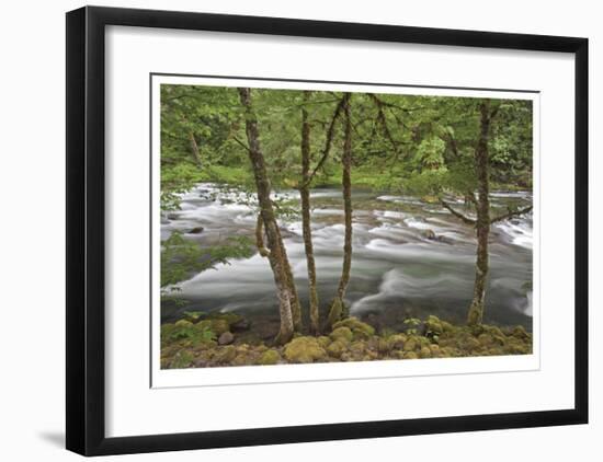 Clackamas River I-Donald Paulson-Framed Giclee Print