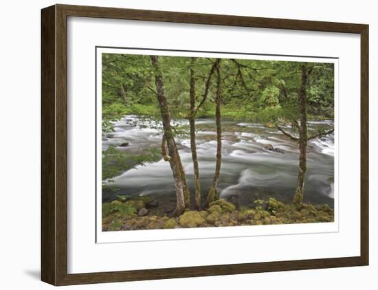 Clackamas River I-Donald Paulson-Framed Giclee Print