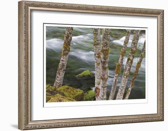 Clackamas River II-Donald Paulson-Framed Giclee Print