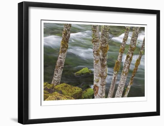 Clackamas River II-Donald Paulson-Framed Giclee Print