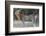 Claiming Territory-Scott Bennion-Framed Photo