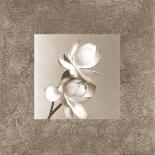 Lotus Duet-Claire Beaumont-Premium Giclee Print