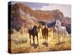 Stretched Canvas Print