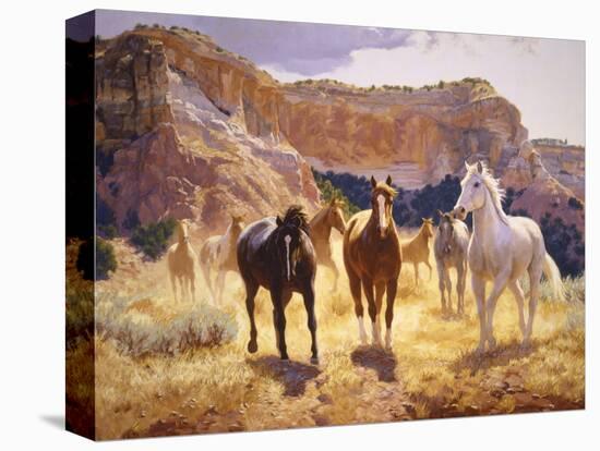 Stretched Canvas Print, , large