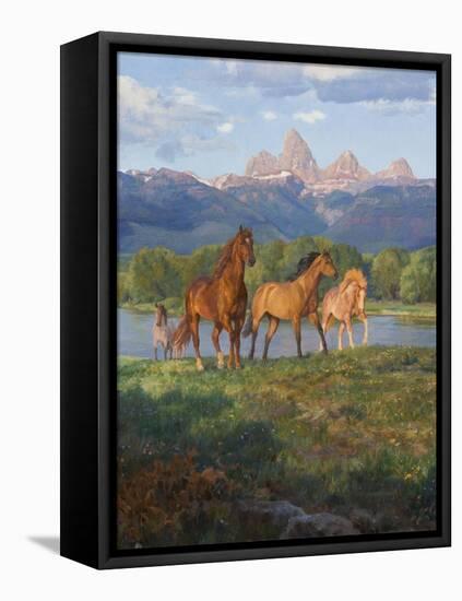 Stretched Canvas Print, , large