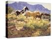 Stretched Canvas Print