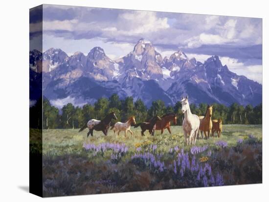 Stretched Canvas Print, , large