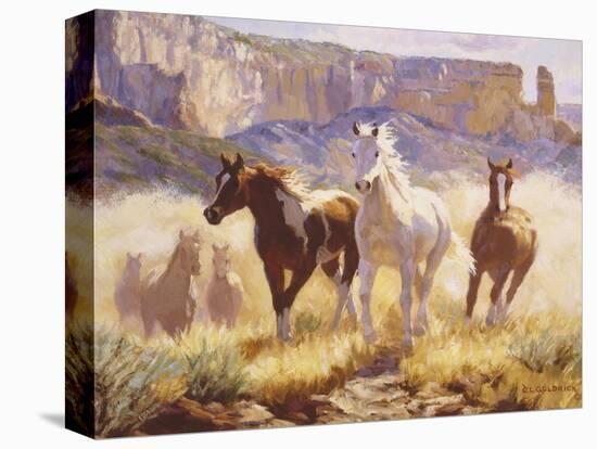 Stretched Canvas Print, , large